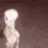YR_Skeleton YR_Skeleton
