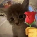 flowerforyou