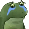 D7_FrogCry