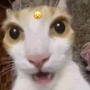 HY_ah