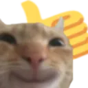 gatojoinha gatojoinha