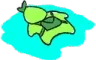 saladge