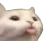 linguinha