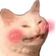 catcringebutinyakuzahq