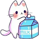 cutecatmilk