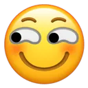 wechat_smirk wechat_smirk