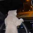drive