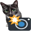 cameracat