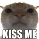 Cat_kiss_me