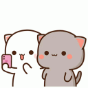 TR_selfi