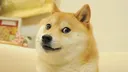 doge Discord Emoji
