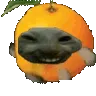 xddorange