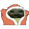 xdddance