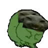 xddfuck