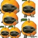 orangegang