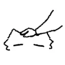 pat pat