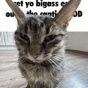 cat_ear