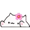 BONGOflower
