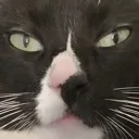DeathStare