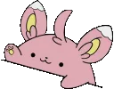b_minccinosh_bongo b_minccinosh_bongo