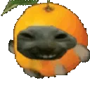 xddorange