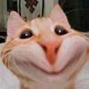 ivayuuu