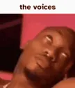 the_voices