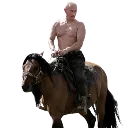 putinhorse