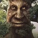 wise_tree