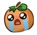 cryj