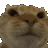no