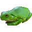 frograinbow frograinbow