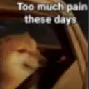 emoji_40