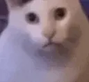 HuH HuH