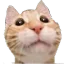 gabe85