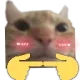 gatoowo18