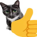 cat_thumbs_up