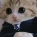 pA_BusinessCat Discord emoji