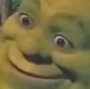 shrekwtf
