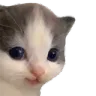 heh
