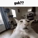 guh