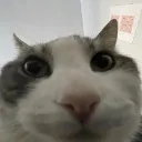 wireless_device_wires_inside