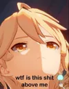 wtfisthisshit