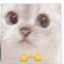 :catoshy: