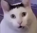 huh