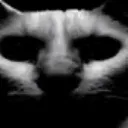 kill