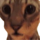 D7_Why Discord emoji