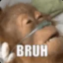 Bruh