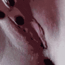 Pussy_Lil_Shiro Discord Emoji