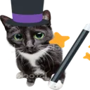 wizardcat